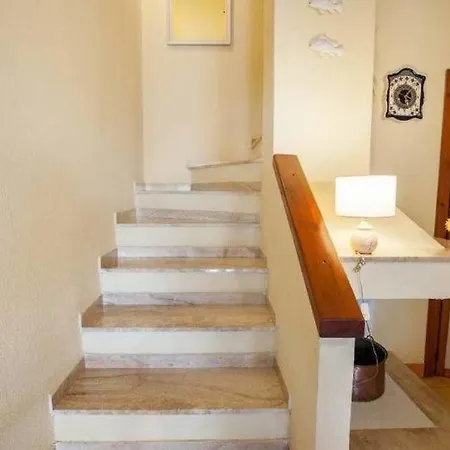 Semesterbostad Strelitzia House