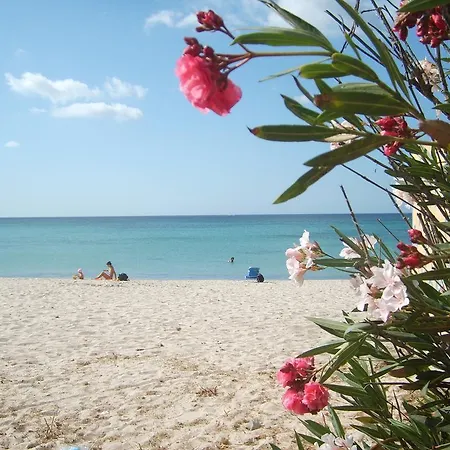 Holiday home Strelitzia Holiday House Quartu Sant'Elena